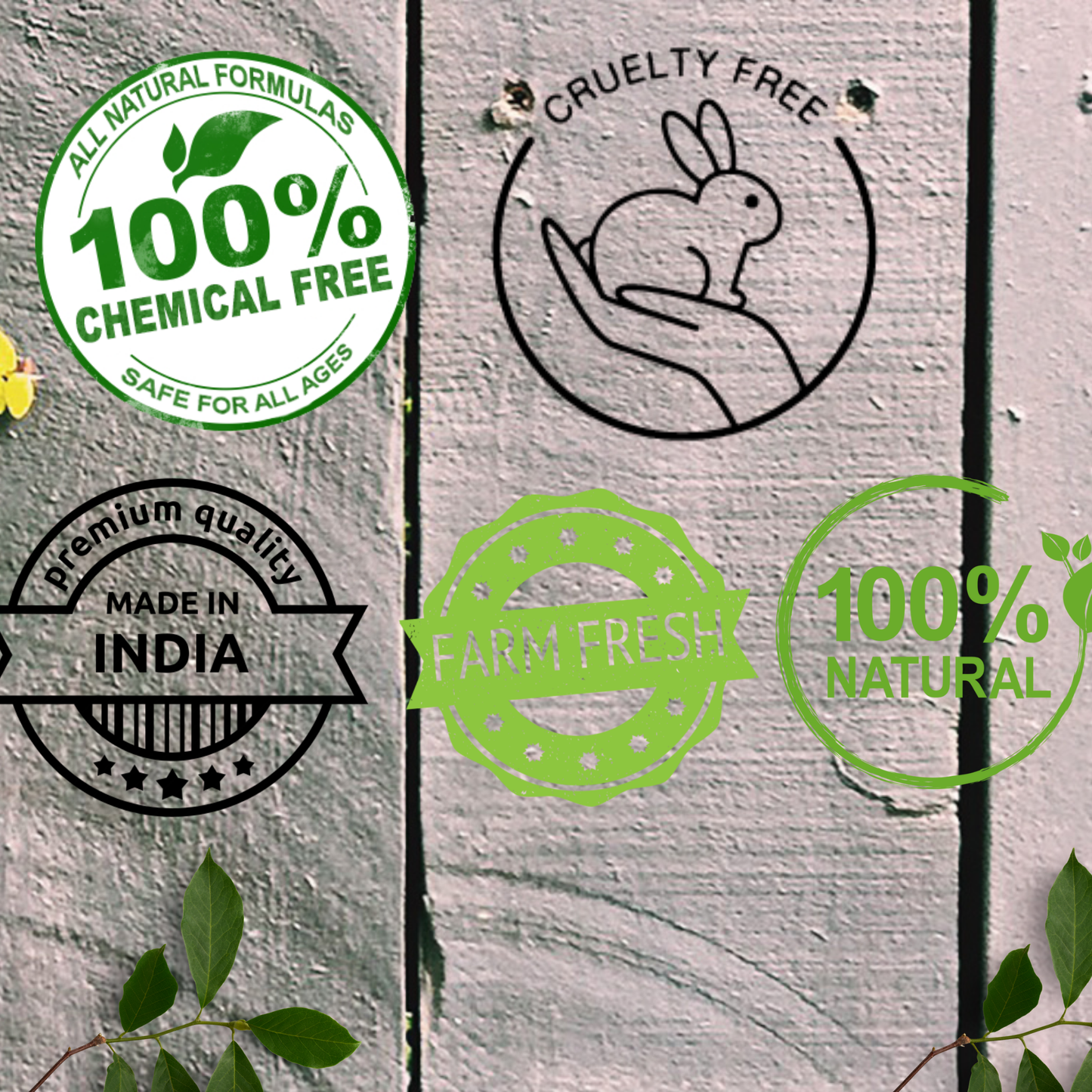 QYKKARE Premium Aloe Vera Powder Pack of 2 (Weight 200 gm)