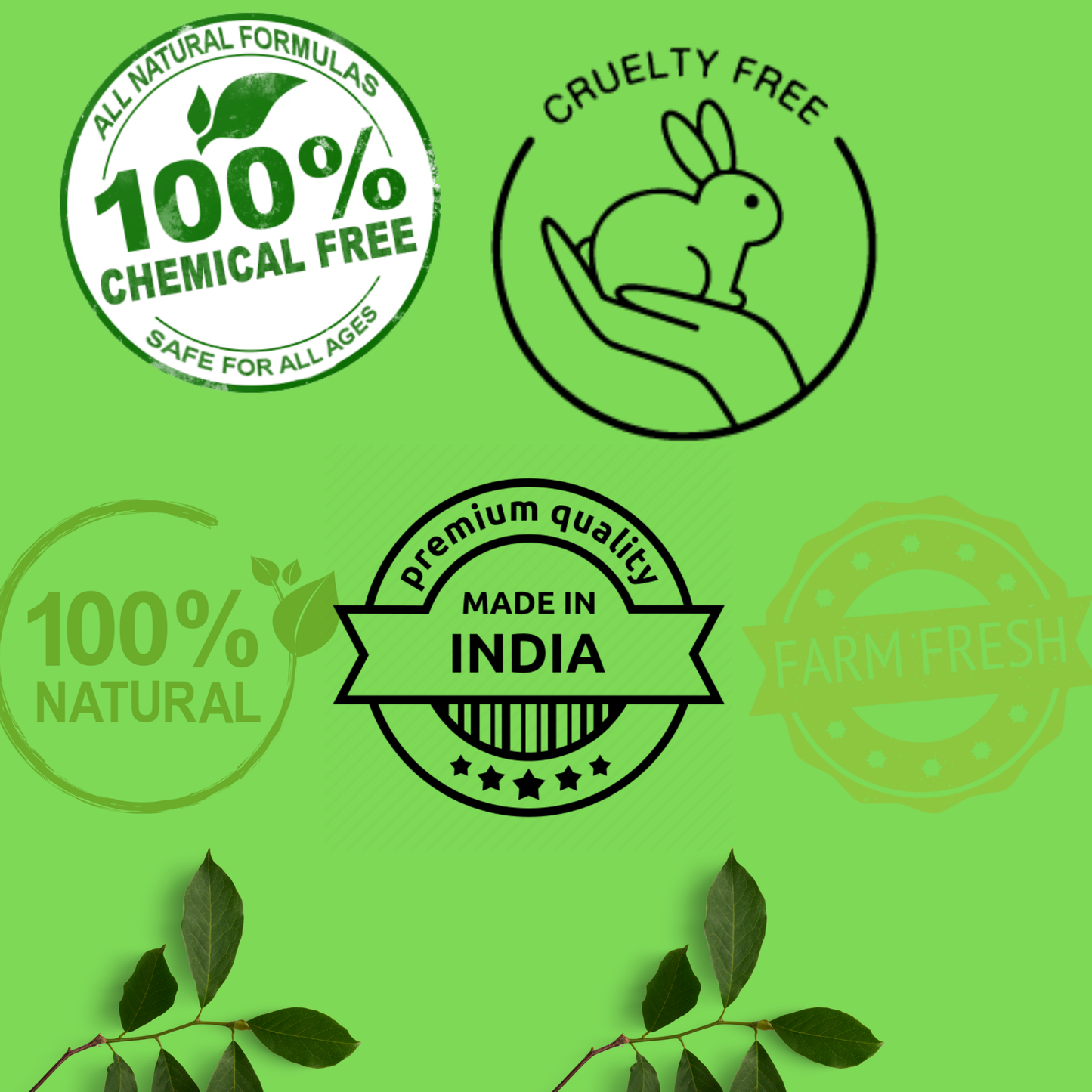 QYKKARE Premium Amla Fruit Powder 100% Natural -100 gms