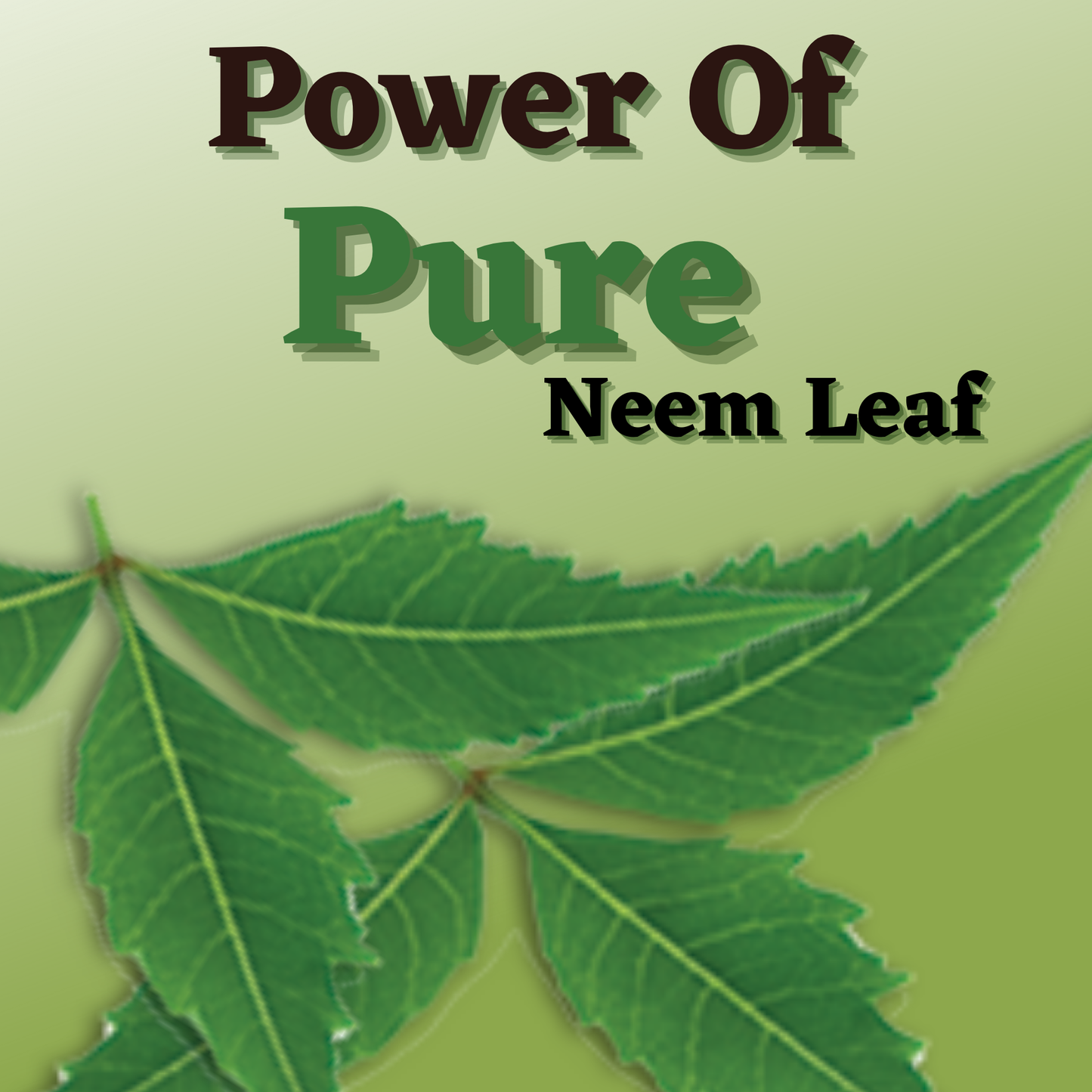 QYKKARE Premium Neem Leaf Powder (200gm =100gm X 2) 100% Pure & Natural
