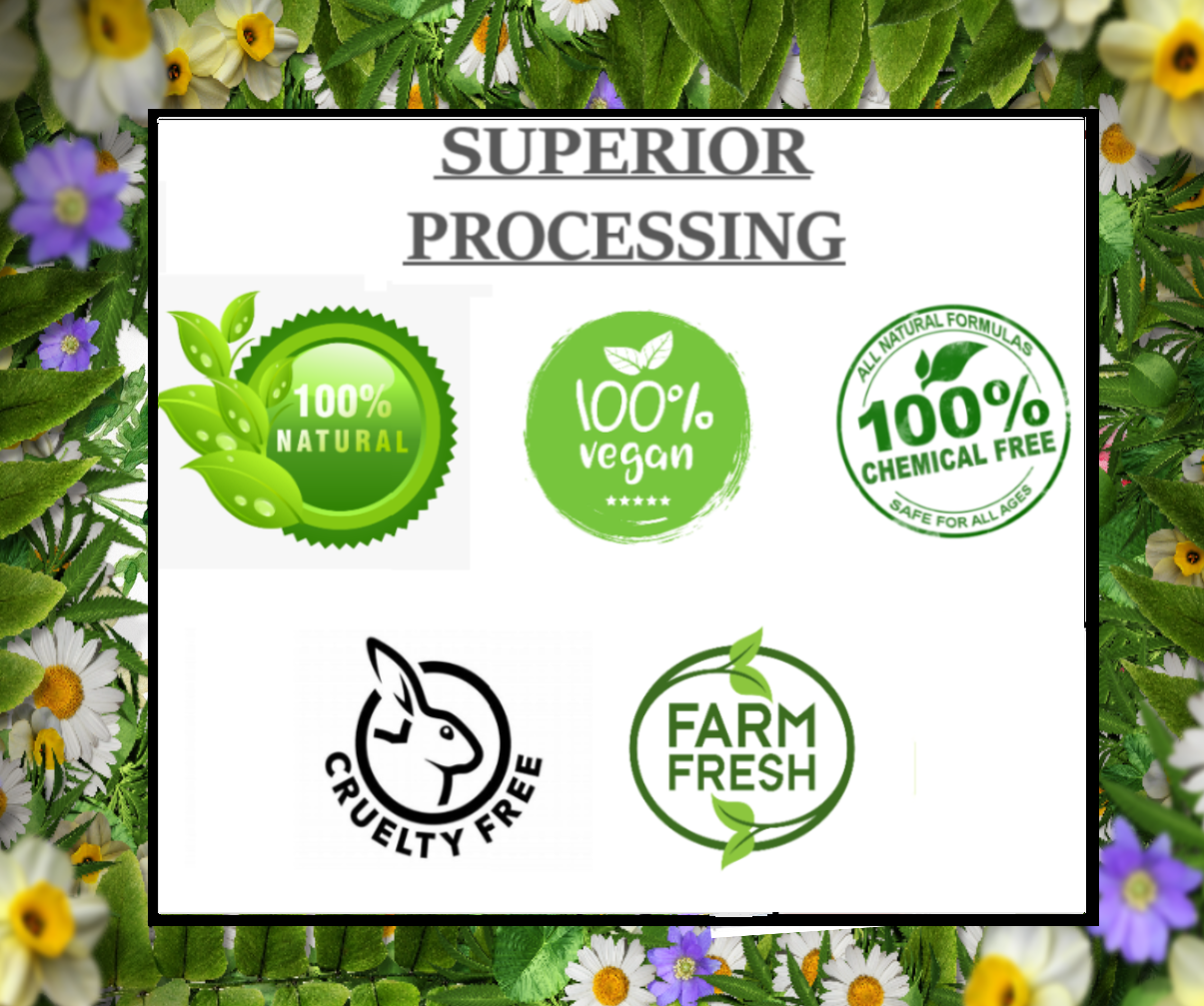 QYKKARE Hibiscus and Neem Leaf Powder Combo Pack (100 Gram X 2)